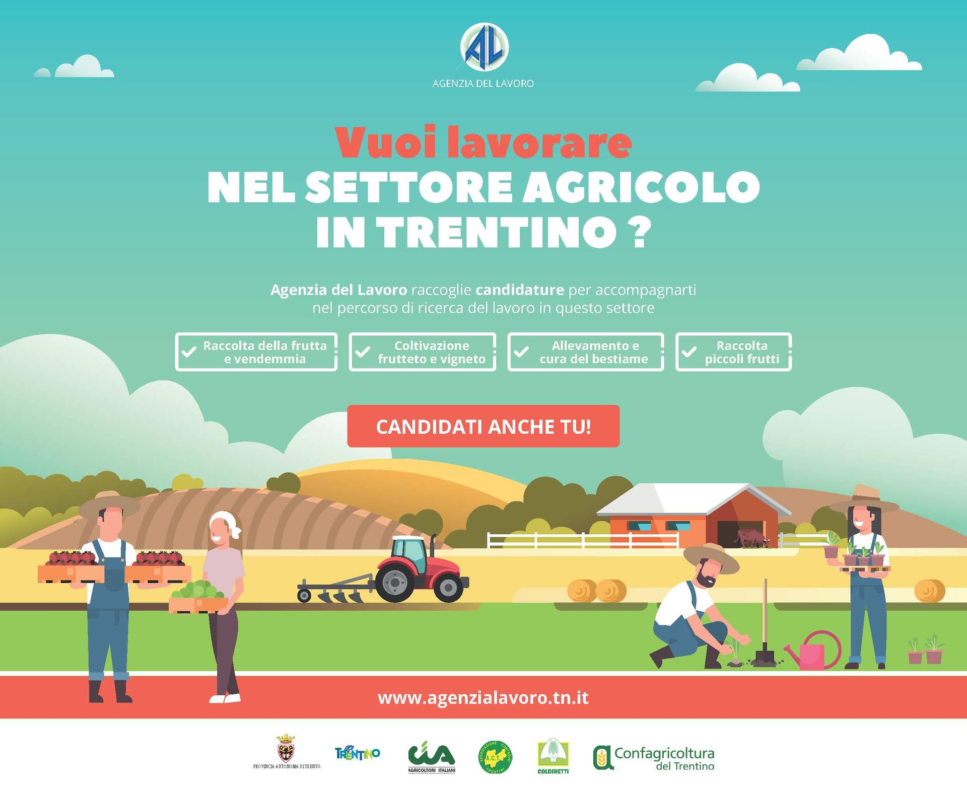 Avviata da Agenzia del Lavoro in collaborazione con le Associazioni di categoria dell’Agricoltura la raccolta di candidature per attività stagionali estive.