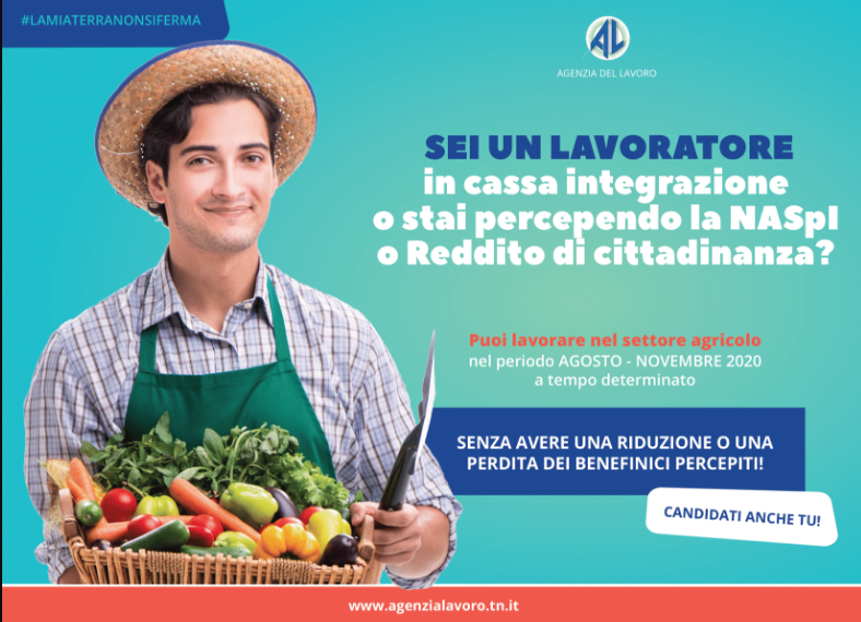 Continua la campagna realizzata da Agenzia del Lavoro, in collaborazione con le Associazioni di categoria dell’Agricoltura (Confederazione Italiana Agricoltori, Confagricoltura, Coldiretti, Associazione contadini Trentini) e l’Ente bilaterale agricolo, finalizzata alla raccolta di candidature per lavorare nel settore agricolo nel periodo agosto- novembre 2020.