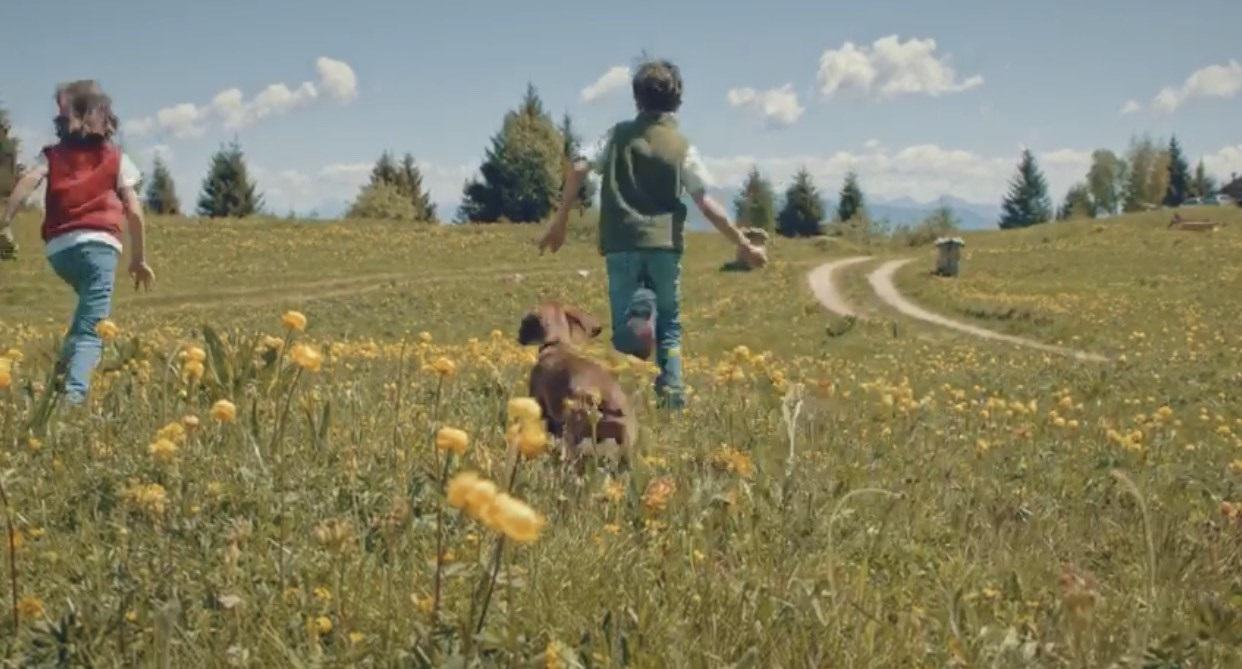 Due bambini che corrono spensierati in un grande prato verde ricoperto da magnifici botton d’oro in piena fioritura. I più attenti si saranno accorti che è il Monte Peller la cornice idilliaca scelta dall’ApT Val di Non per il nuovo video promozionale della valle.