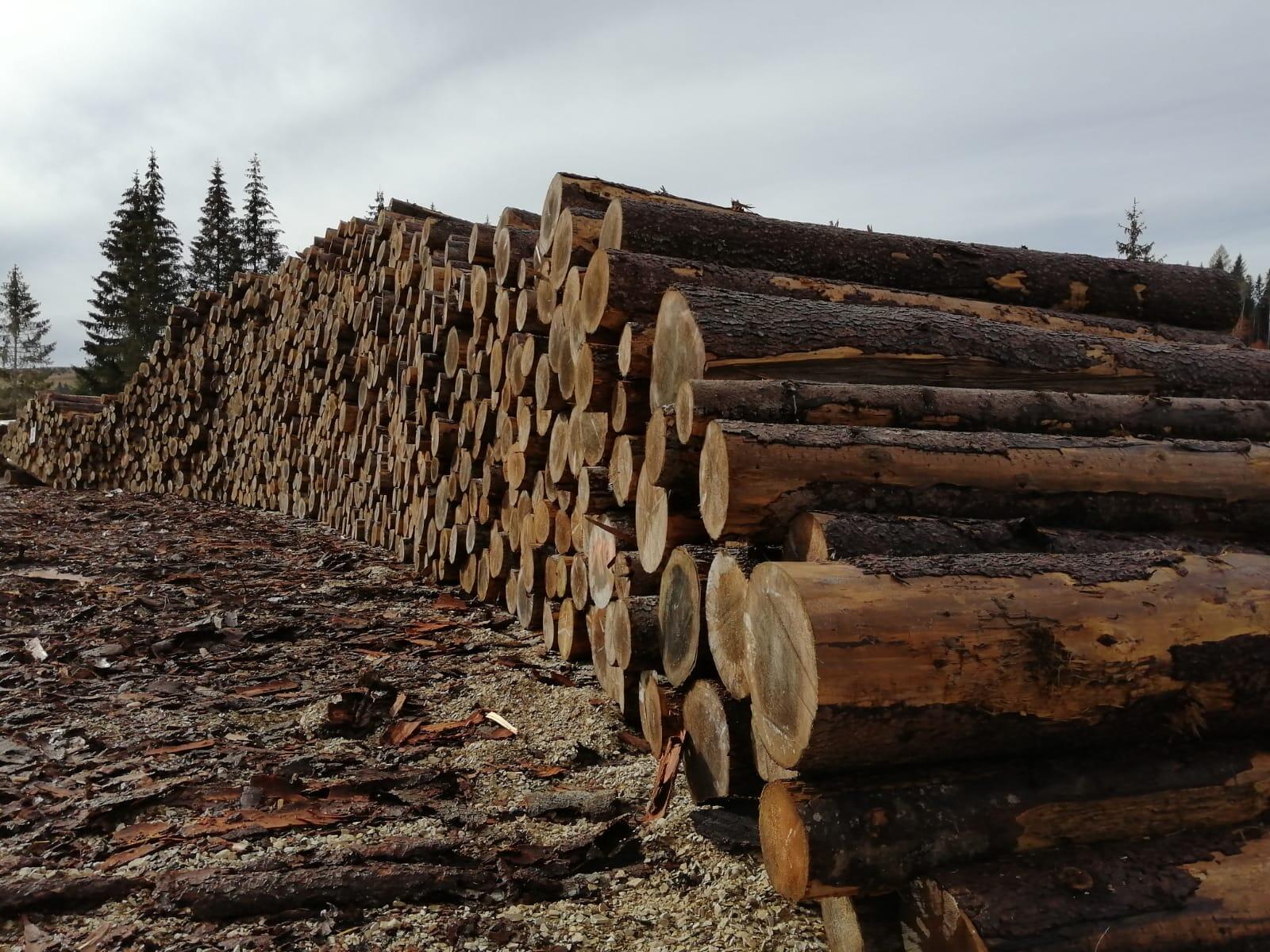 Orgoglio e rinascita. Due anni sono trascorsi dalla notte che ha sconvolto il Trentino. Le ferite che il territorio ha subito sono ancora in parte visibili, ma il sistema di Protezione civile, con i vigili del fuoco permanenti e volontari, il corpo forestale provinciale, i Bacini montani, le amministrazioni locali, le associazioni di volontariato e la popolazione in prima persona hanno saputo rialzare la testa.