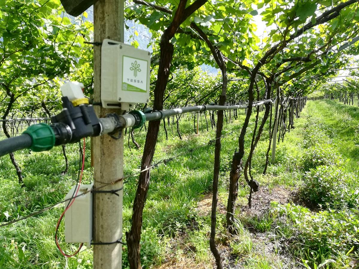 La Fondazione Bruno Kessler coordina il progetto Sapience. Già pronte le prime installazioni sperimentali sui siti pilota, dedicati alla produzione di uva in Trentino e di prodotti orticoli in Emilia Romagna.