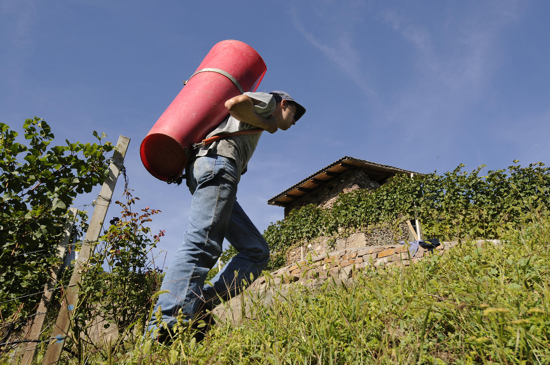 “L’agricoltura e, soprattutto, i giovani agricoltori sono una priorità della Giunta provinciale, determinata a sostenere la crescita di uno dei settori strategici del Trentino”.